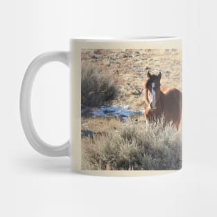 Young wild horse, foal, wildlife, nature, gifts Mug